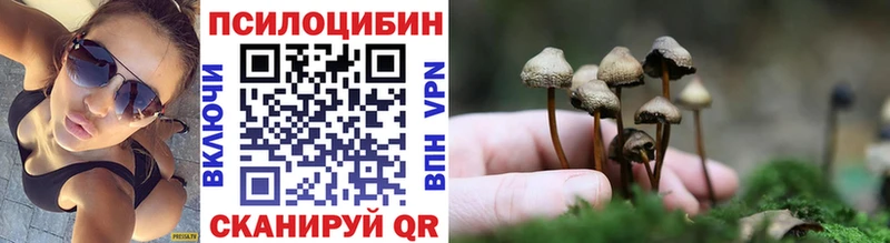 KRAKEN сайт  Байкальск  Псилоцибиновые грибы Magic Shrooms  продажа наркотиков 